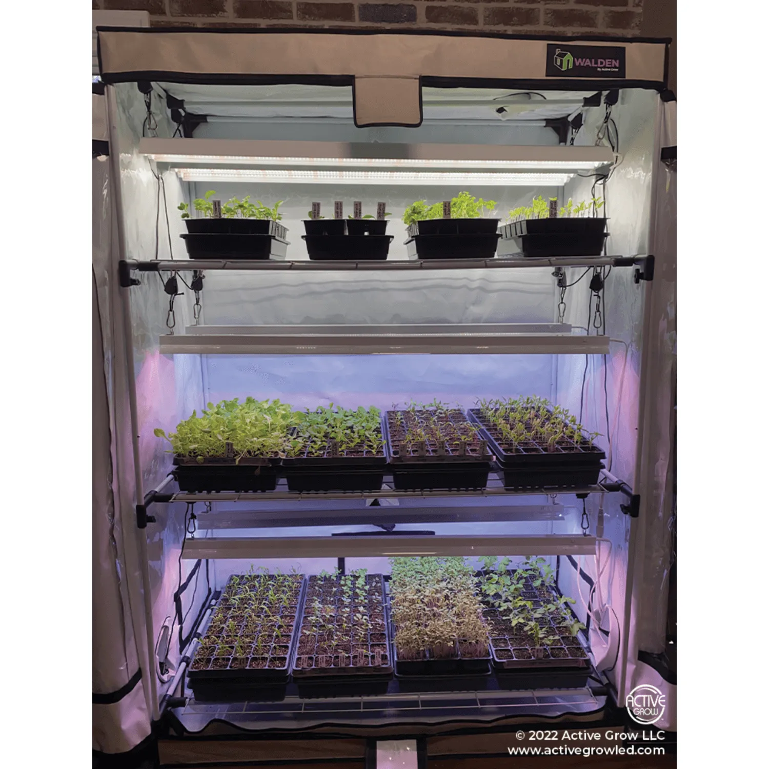 Active Grow Seed Starting 2' x 4' 3-Tier LED Walden White Grow Tent Kit