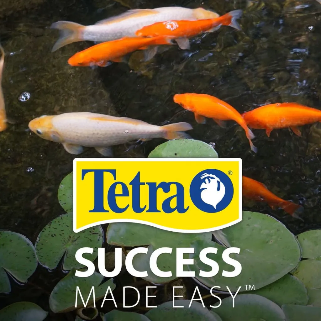Tetra Pond Koi Vibrance Color Enhancing Sticks Koi & Goldfish Food