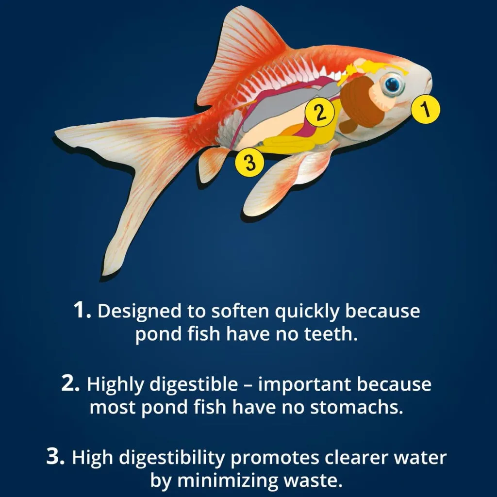 Tetra Pond Koi Vibrance Color Enhancing Sticks Koi & Goldfish Food
